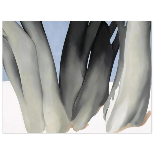 Georgia O'Keeffe - Bare Tree Trunks with Snow Fine Art Poster - 13x18 cm / 5x7 inches