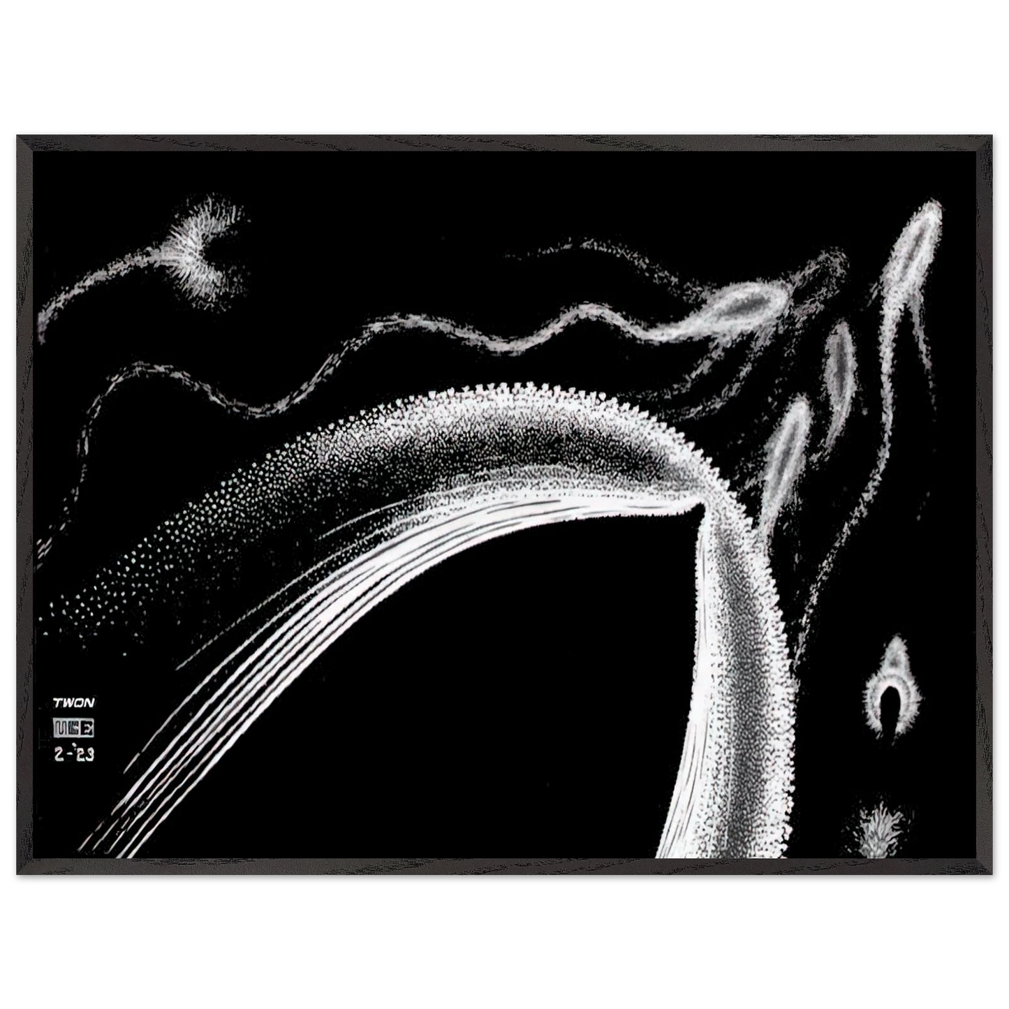 MC Escher - DOLPHINS Wall Art - 30x40 cm / 12x16 inches - Fine Art Poster - -