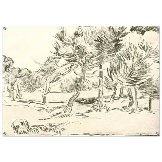 A Group of Pine Trees - Vincent van Gogh Acrylic Print - 70x100 cm / 28x40″ inches