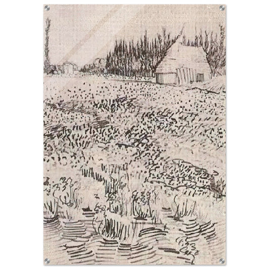 Landscape with Hut in the Camargue - Vincent van Gogh Acrylic Print - 70x100 cm / 28x40″ inches