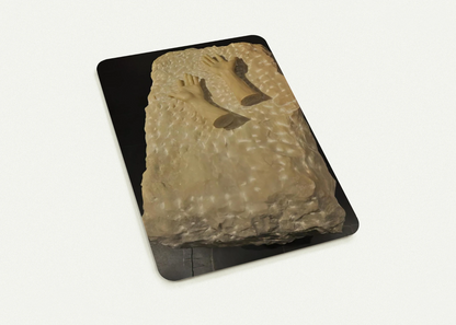 DISEMBODIED HANDS 1990 By Louise Bourgeois Pack of 10 Post Cards | Louise Bourgeois Post Cards | A6 (10.5 x 14.8 cm) - 4.1 x 5.8 inches