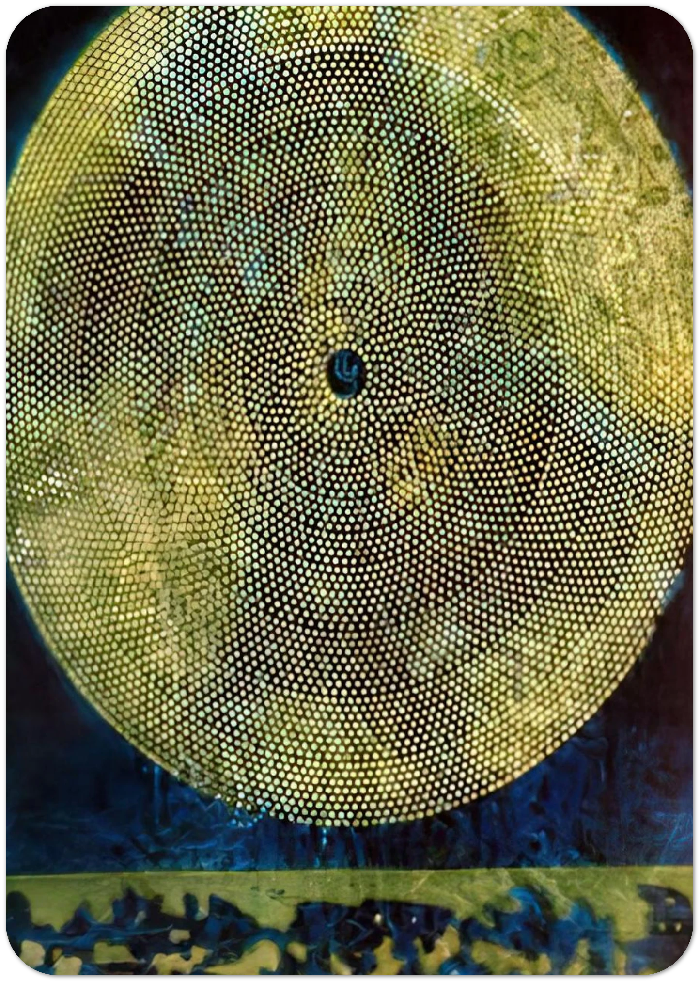 d553d529-f373-4dea-8d5c-72d23035b128