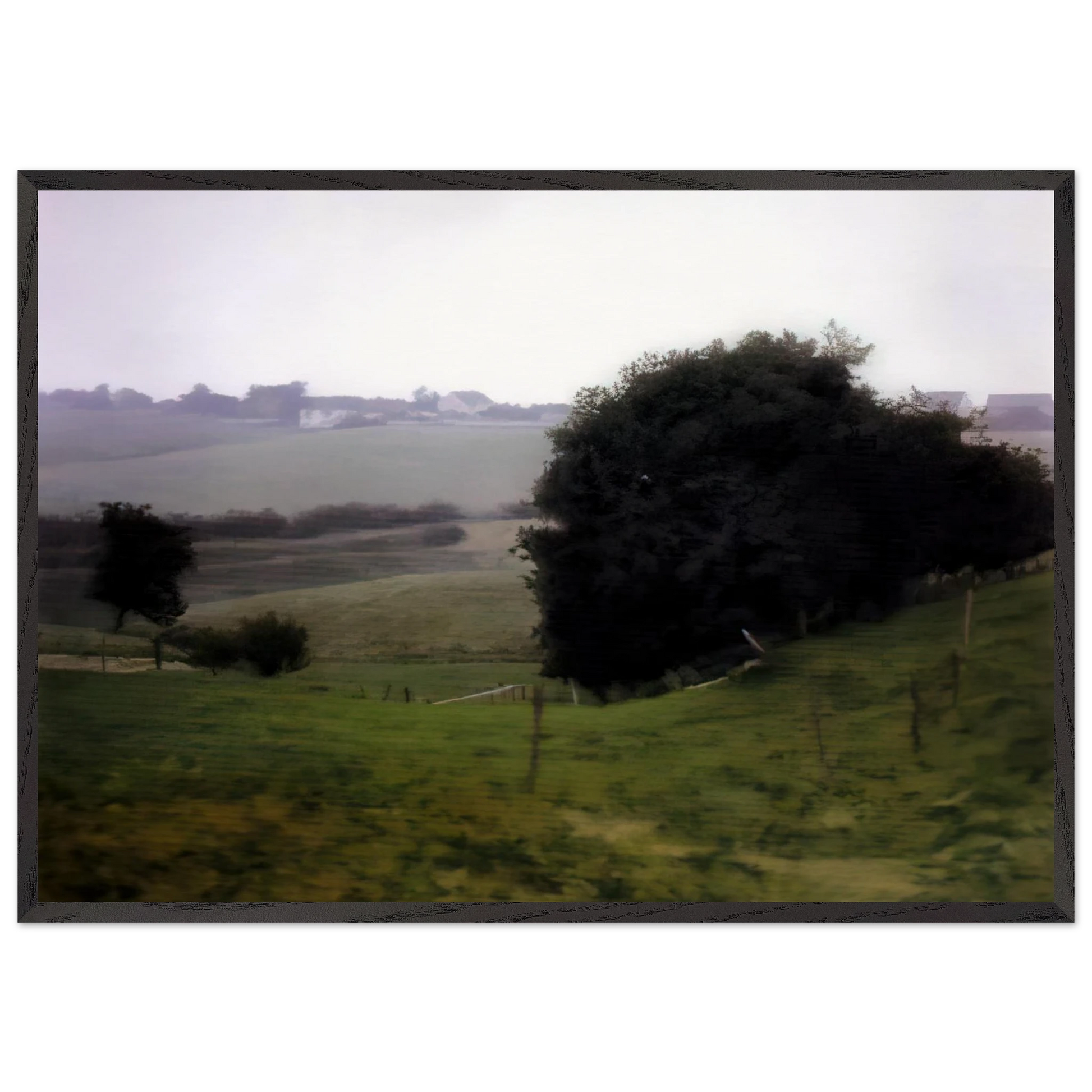 MEADOWLAND - Gerhard Richter Framed Art Print – Black Wooden Frame - Default Title - -Framed Art Print