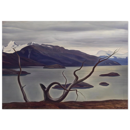 d7957771-c97e-4a3a-be4d-8d67d802b713