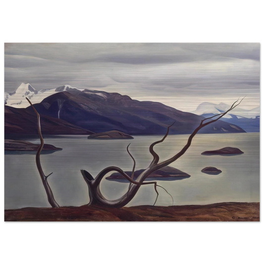 d7957771-c97e-4a3a-be4d-8d67d802b713