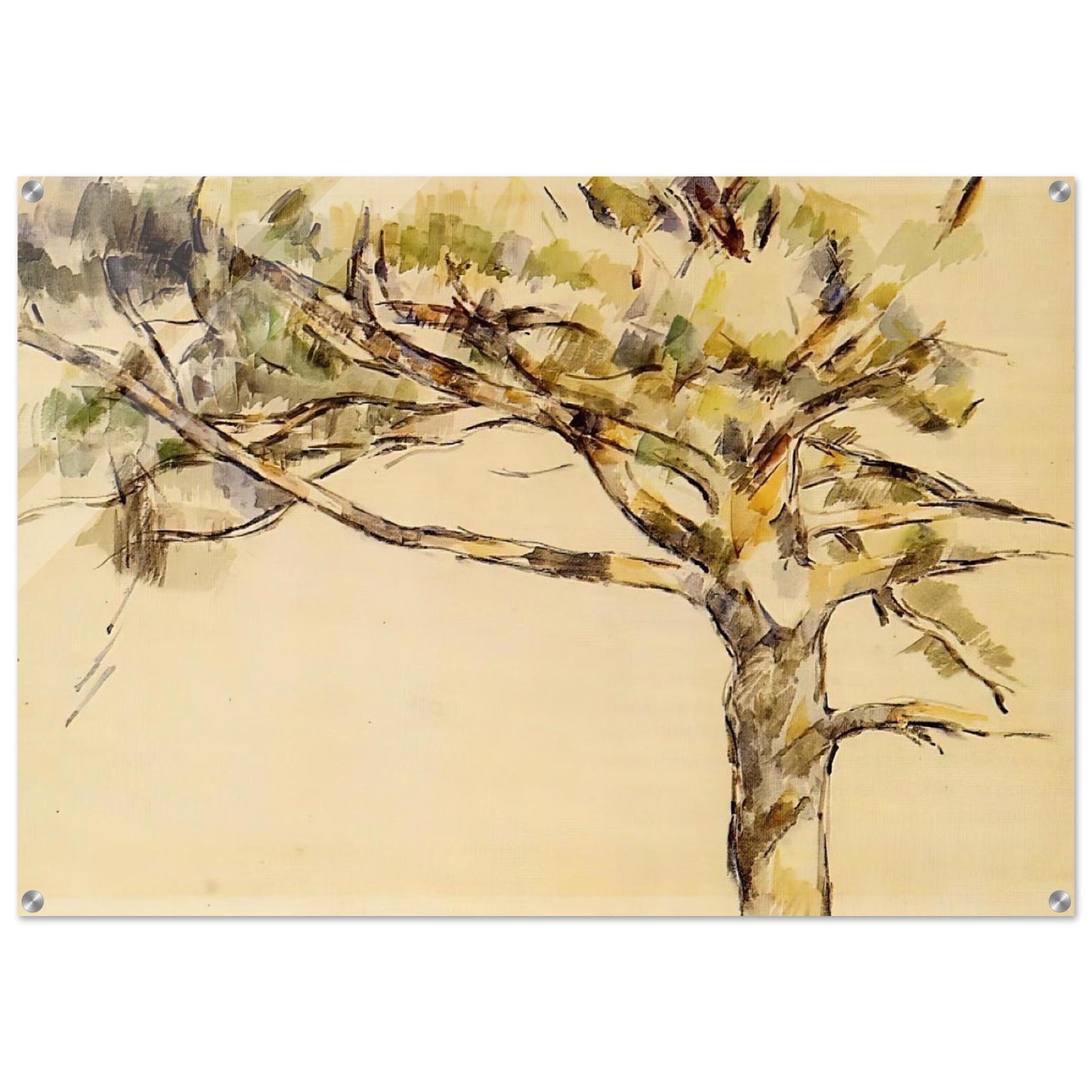 Large Pine - Paul Cézanne Acrylic Print - 70x100 cm / 28x40″ inches