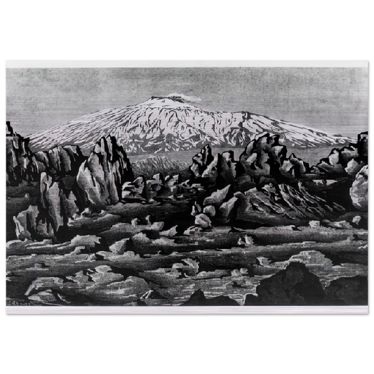 d82a55c5-a7ad-4c23-a2e4-c554b57dc7af