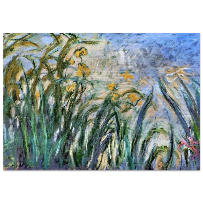 Yellow Irises and Malva - claude monet Brushed Aluminum Print - 70x100 cm / 28x40 inches | claude monet Aluminum Print | claude monet Prints