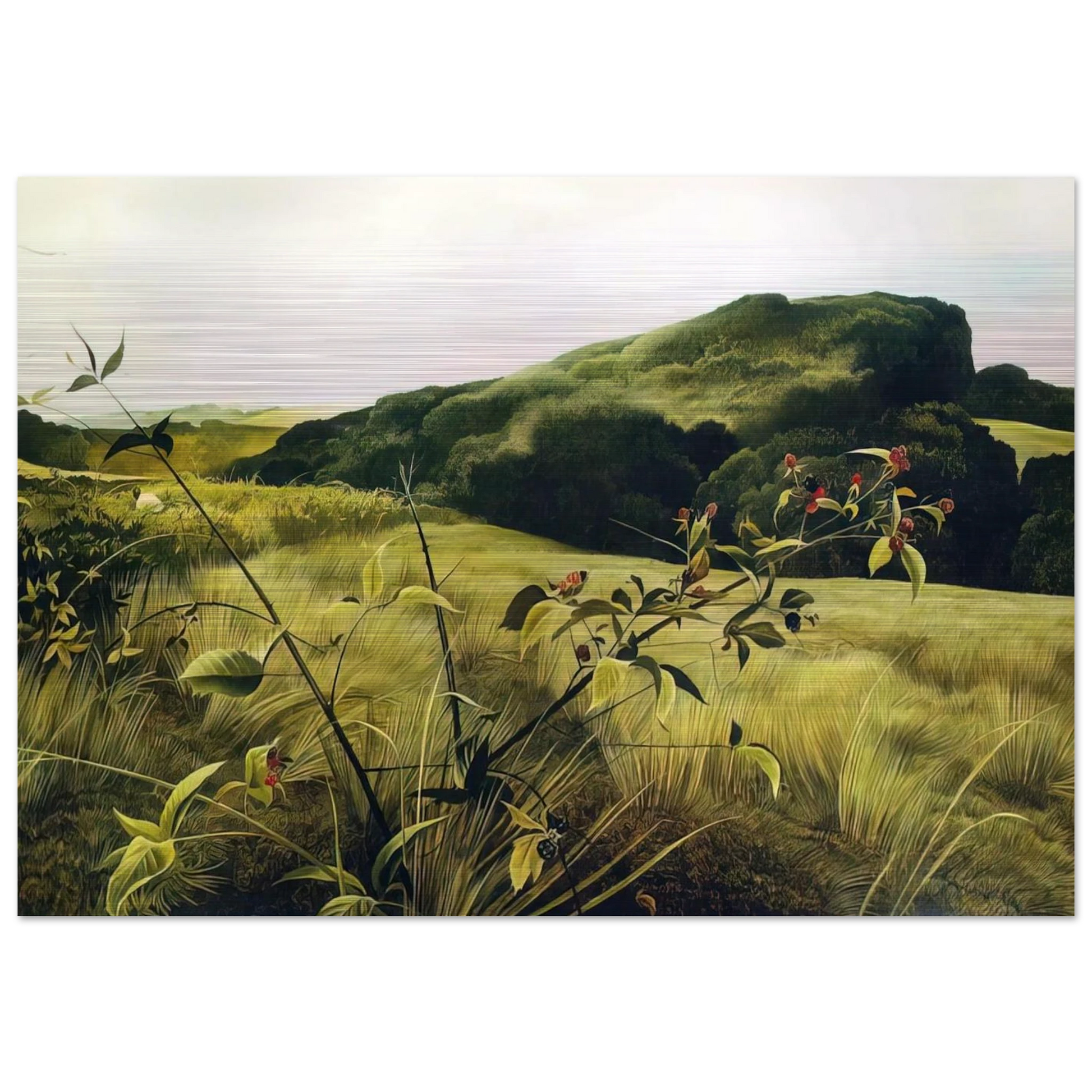 d92580cf-f2fd-496b-a7c9-8dc73a12374b