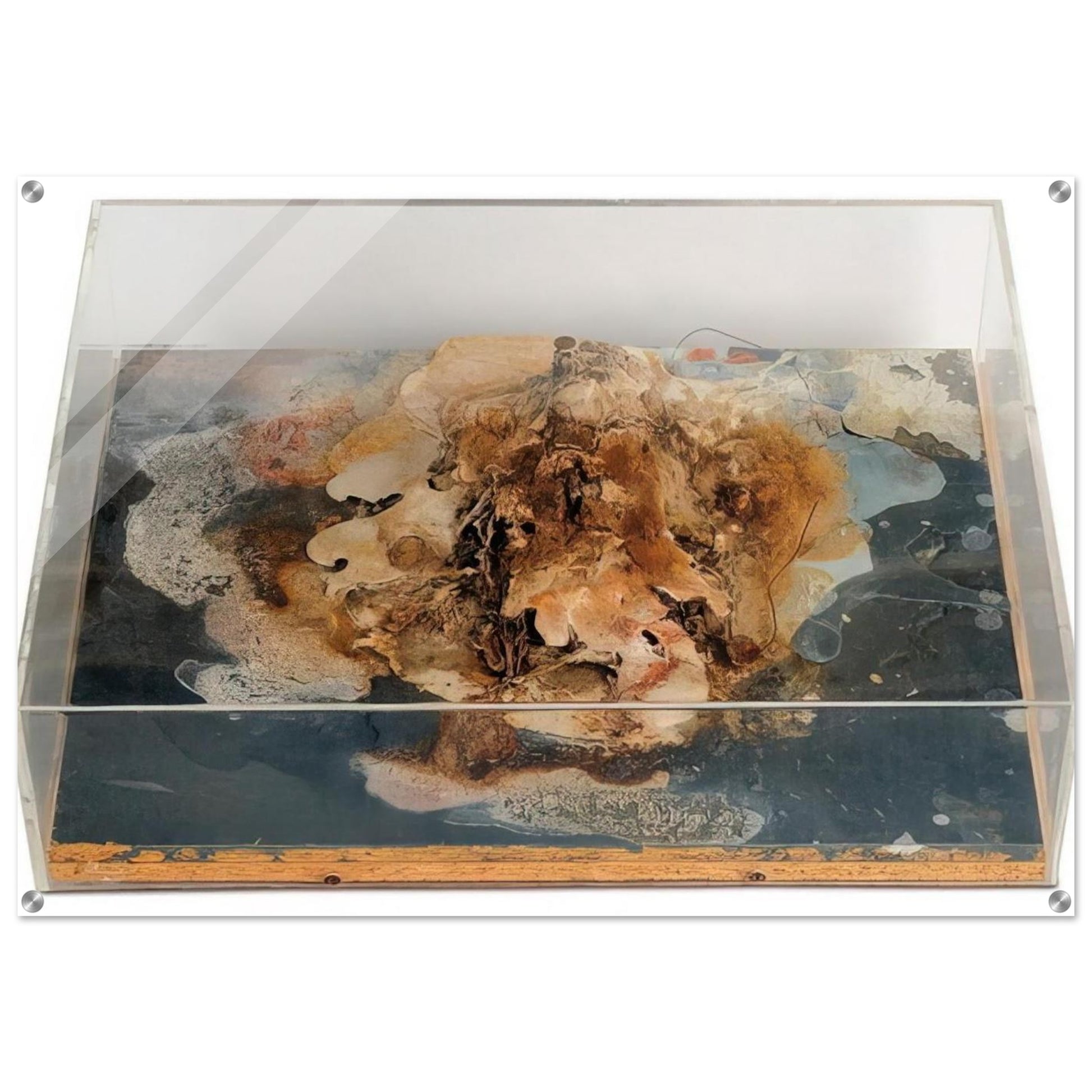 d932afdf-7bba-4022-9dec-5500dd32f920