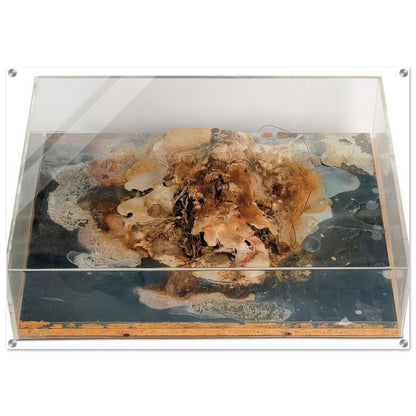 d932afdf-7bba-4022-9dec-5500dd32f920