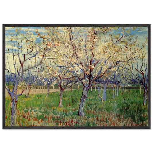 Orchard with Blossoming Apricot Trees - Vincent van Gogh 70x100 cm / 28x40 inches Framed Art Print – Black Wooden Frame