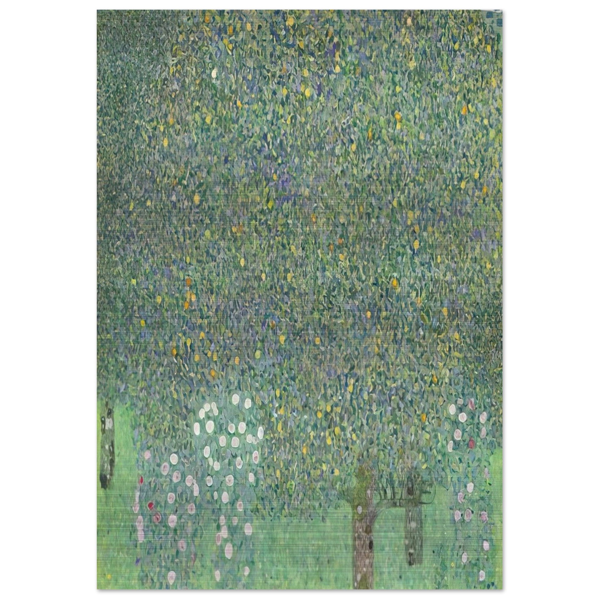 daf07325-e0a2-450a-9169-ba6adf4b54e1