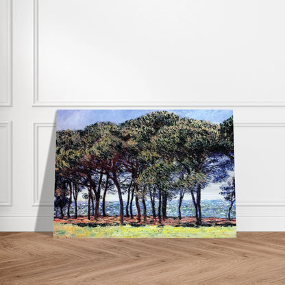 Pine Trees, Cap d'Antibes - claude monet Brushed Aluminum Print - 70x100 cm / 28x40 inches | claude monet Aluminum Print | claude monet Prints