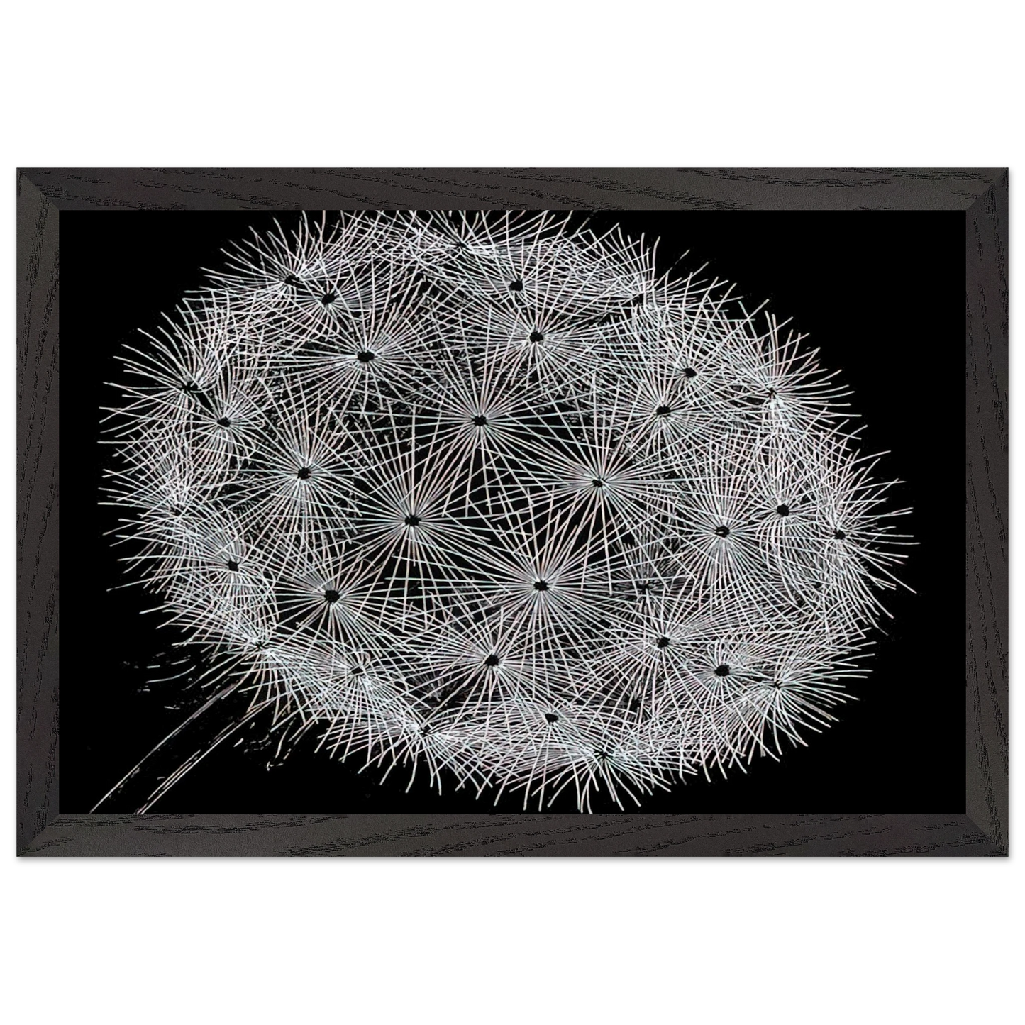 MC Escher - BLOWBALL II Wall Art - 30x40 cm / 12x16 inches - Fine Art Poster - -