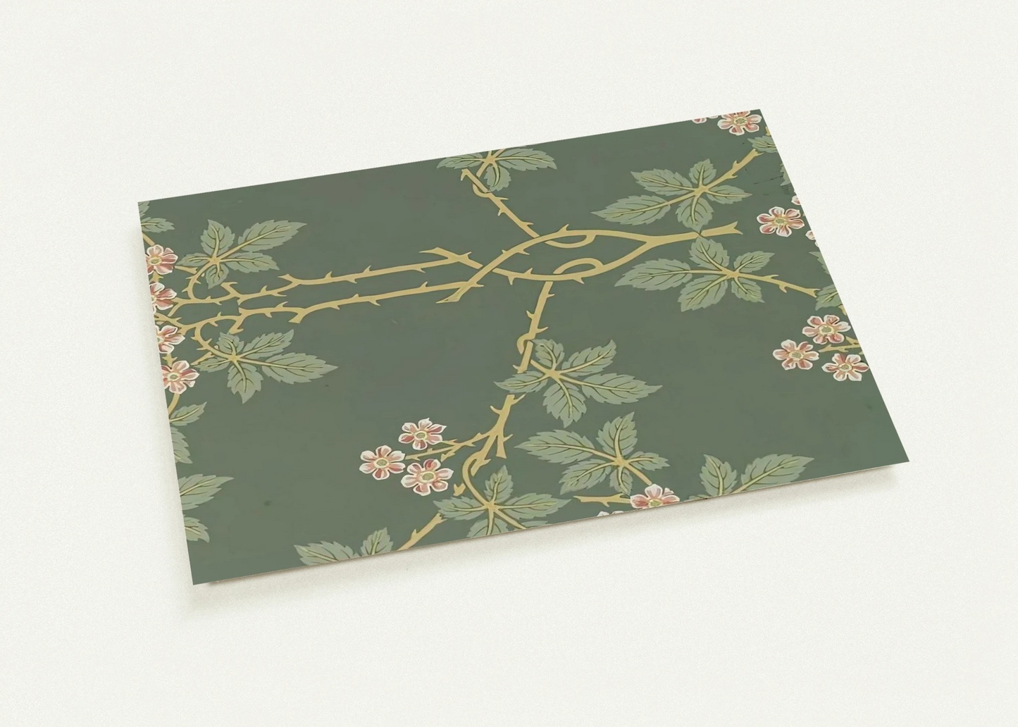 db3ccb3a-9bc6-4476-ac97-ed7bd9ec1561