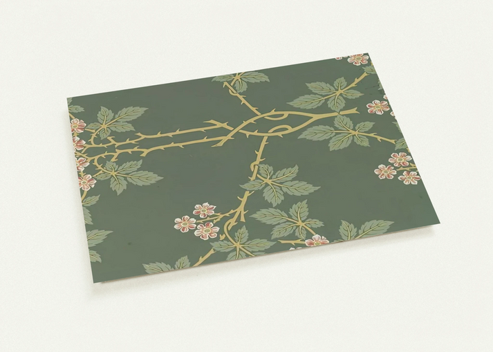 db3ccb3a-9bc6-4476-ac97-ed7bd9ec1561