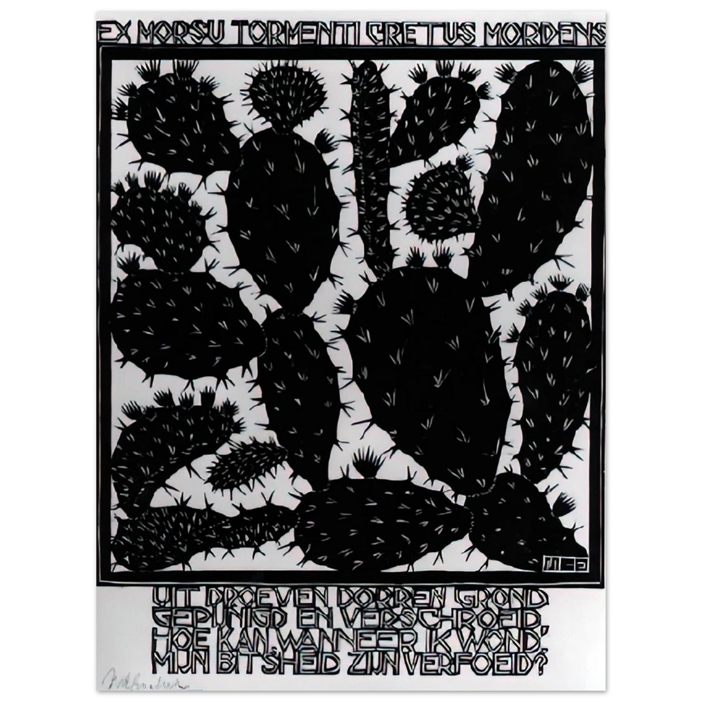 MC Escher - EMBLEMATA CACTUS Wall Art - 30x40 cm / 12x16 inches - Premium Wooden Framed Poster With Fine Art Paper - White frame