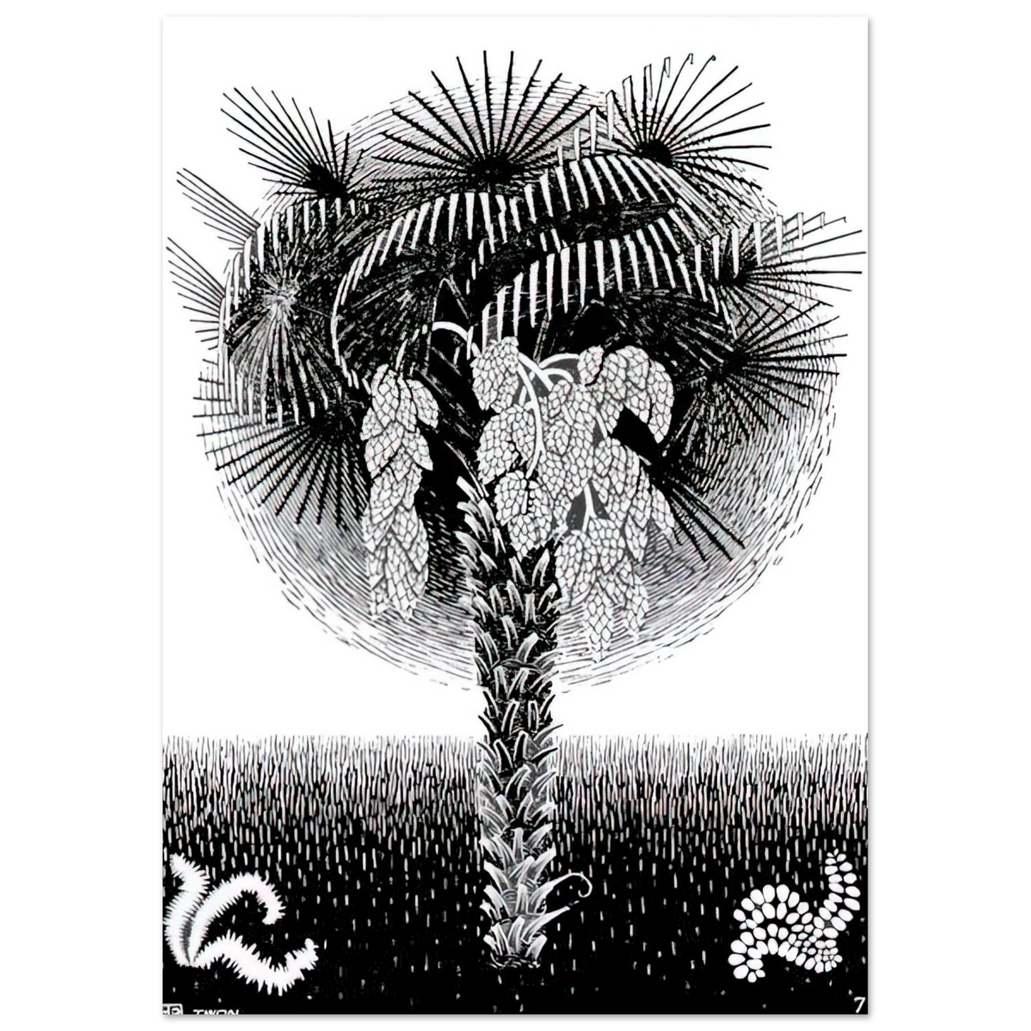 MC Escher - PALM TREE Wall Art - 30x40 cm / 12x16 inches - Premium Wooden Framed Poster With Fine Art Paper - White frame
