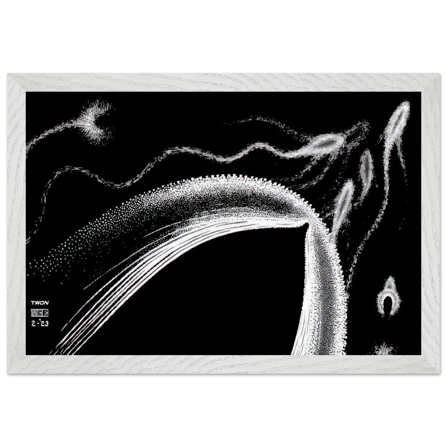 MC Escher - DOLPHINS Wall Art - 30x40 cm / 12x16 inches - Premium Wooden Framed Poster With Fine Art Paper - White frame