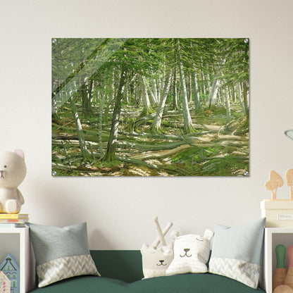 dc75576d-0747-4fe0-b350-9e56f7734cd7