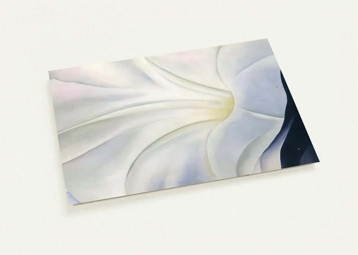 Morning Glory with Black By Georgia O'Keeffe Pack of 10 Post Cards | Georgia O'Keeffe Post Cards | A6 (10.5 x 14.8 cm) - 4.1 x 5.8 inches