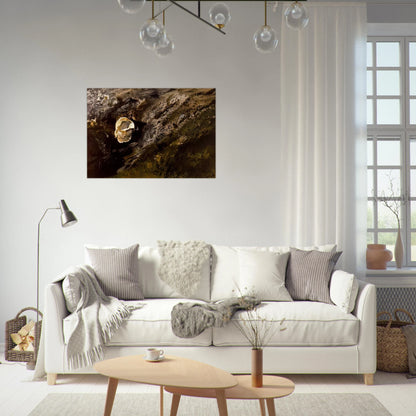 dd234c03-9b3d-4929-8e14-4446d5f5e517