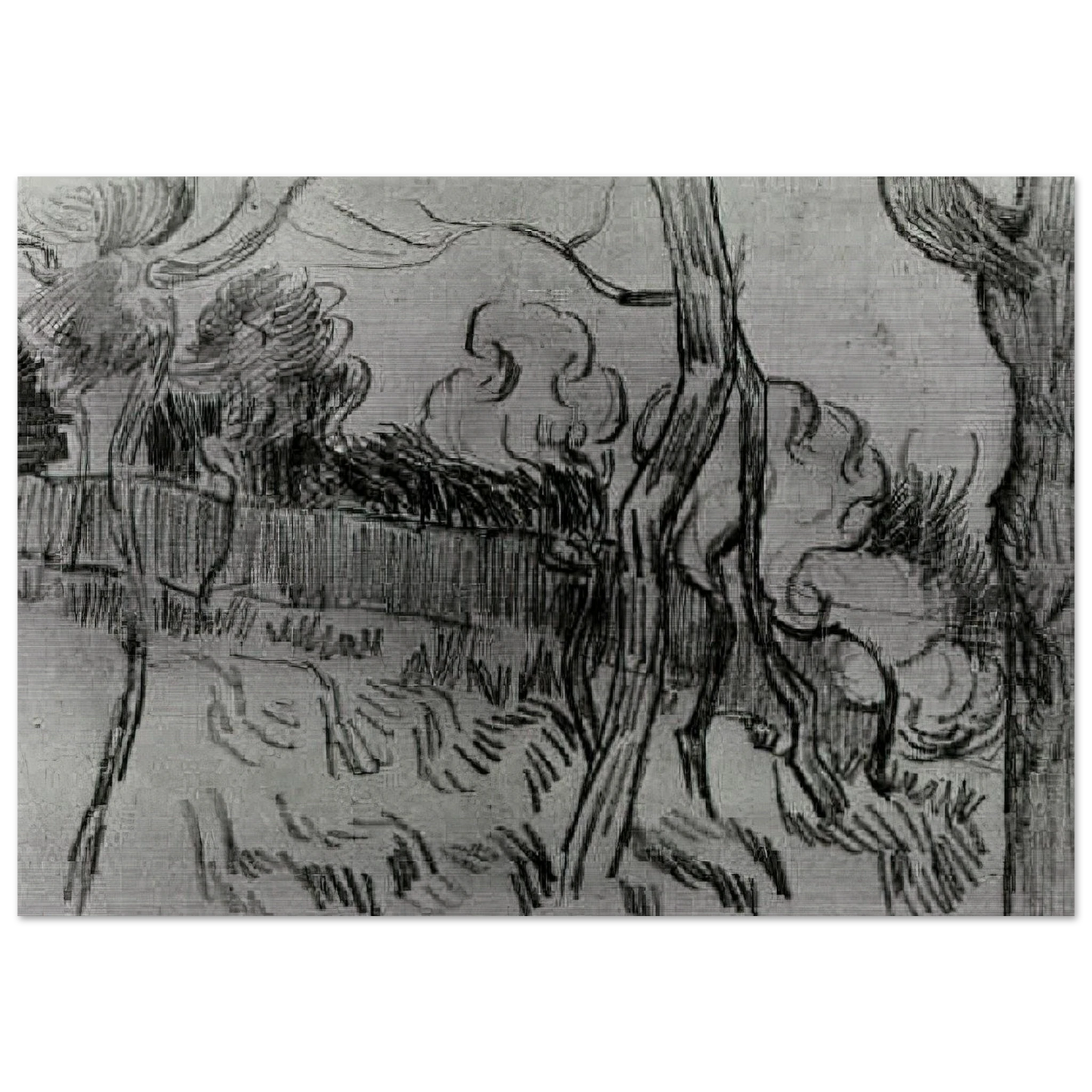 Pine Trees Seen against the Wall of the Asylum - Vincent van Gogh Brushed Aluminum Print - 70x100 cm / 28x40 inches | Vincent van Gogh Aluminum Print | Vincent van Gogh Prints