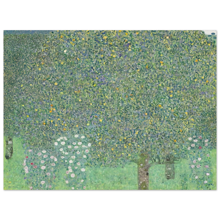 Gustav Klimt - ROSES UNDER THE TREES  75x100 cm / 30x40inches Fine Art Poster