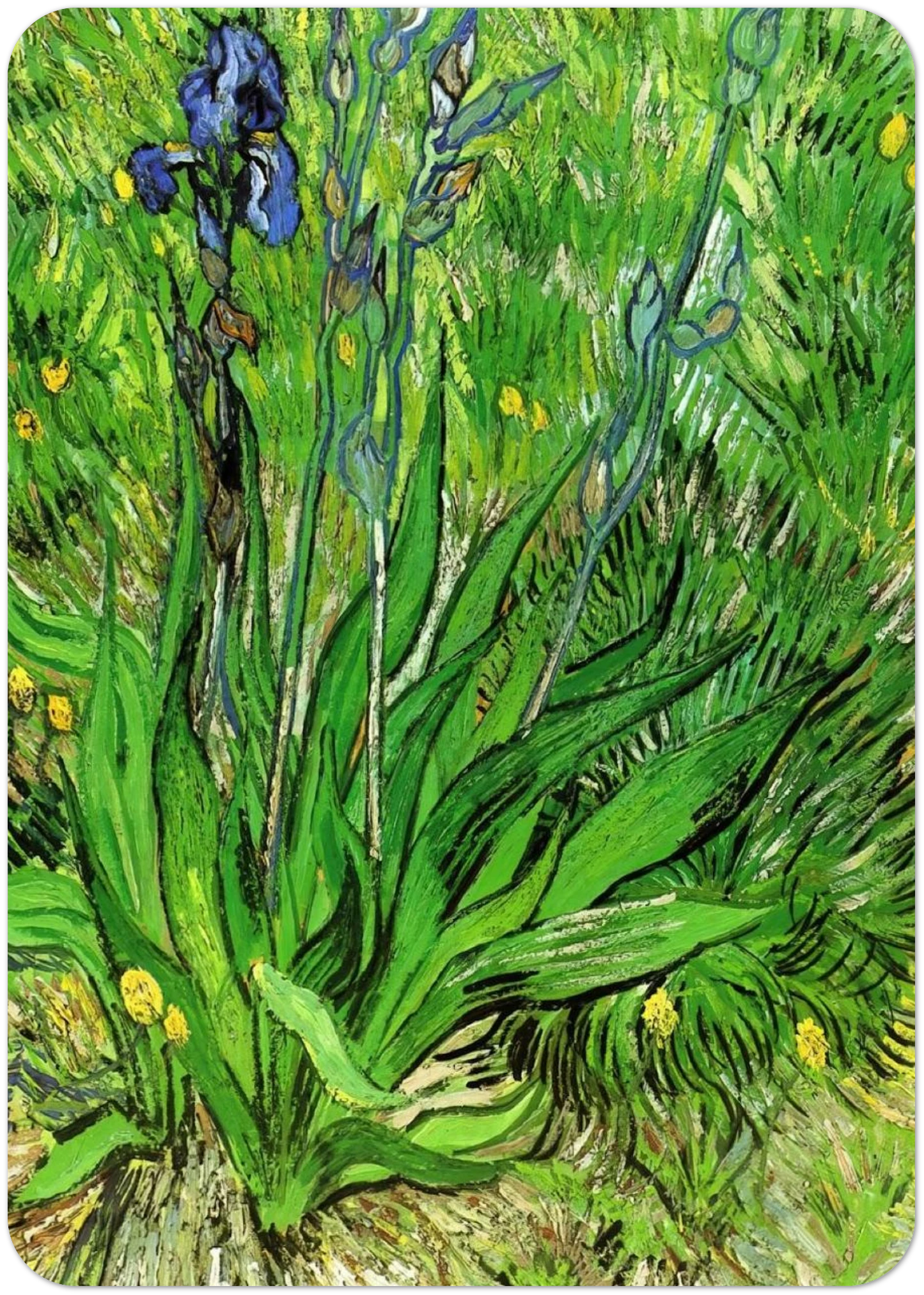 deb5da6c-f29b-4a16-a580-0b50bbeb74d8