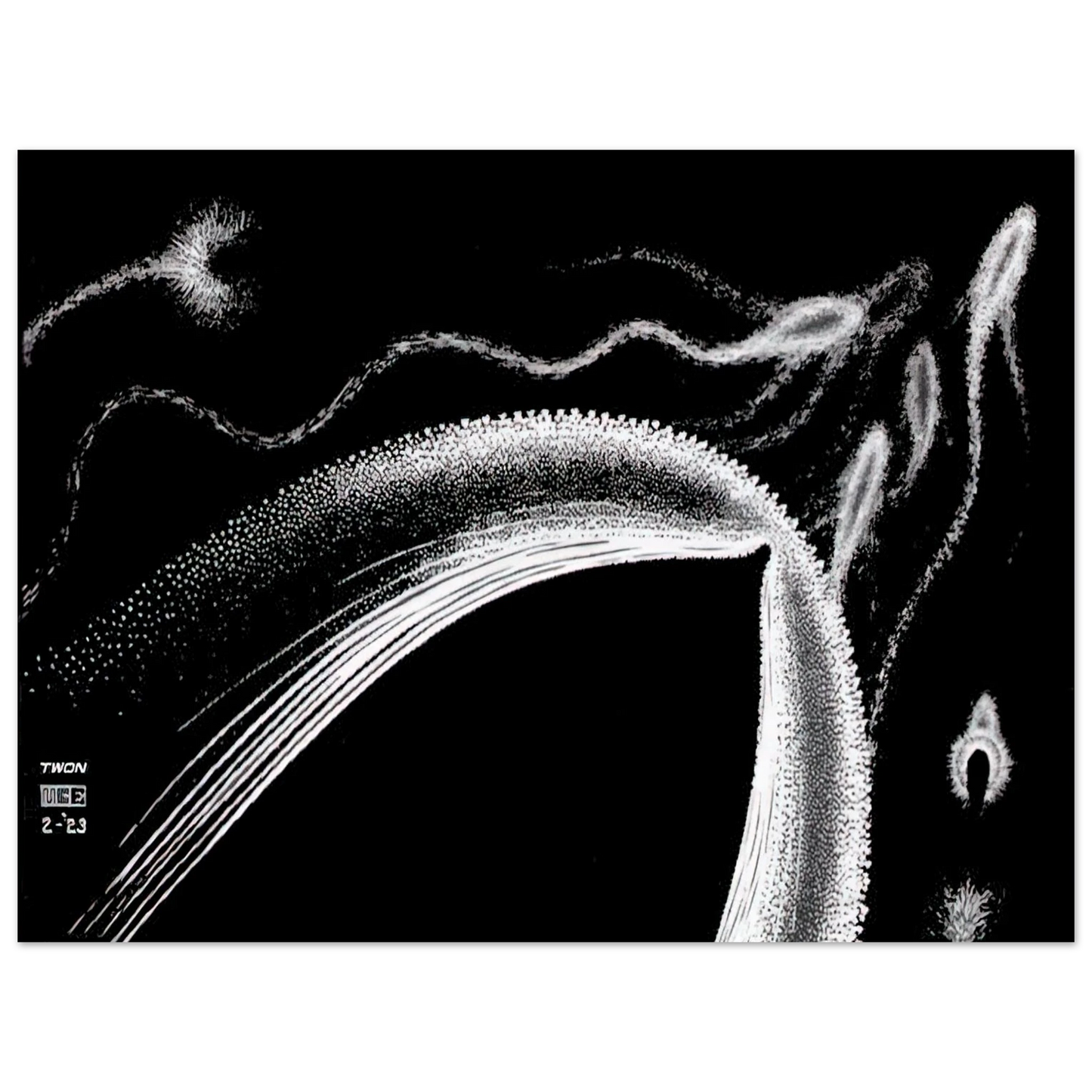MC Escher - DOLPHINS Wall Art - 21x29.7 cm / 8x12" - Fine Art Poster - -