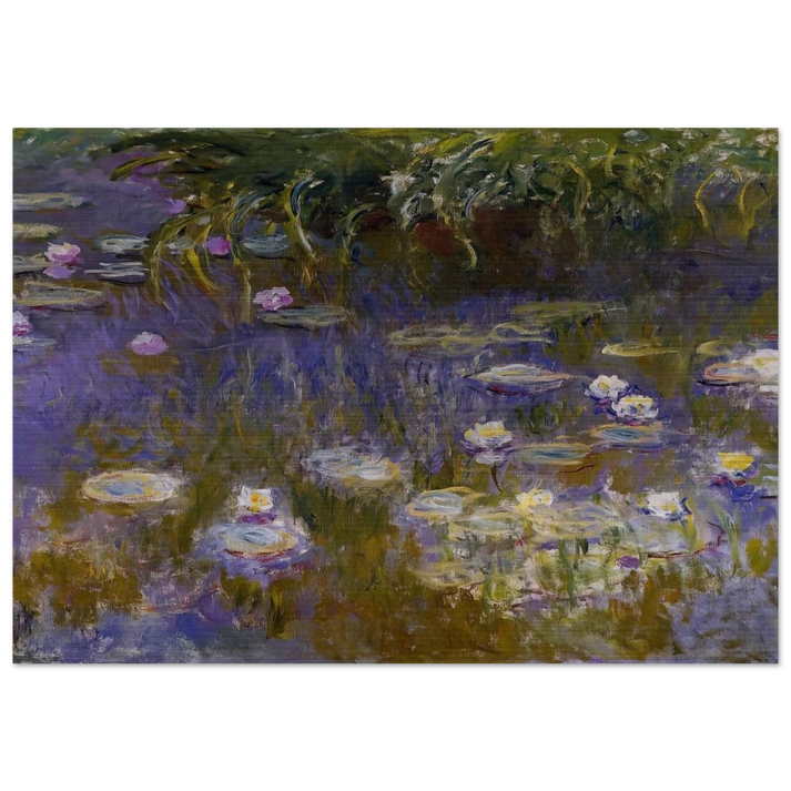 Water Lilies, Yellow and Lilac - claude monet Brushed Aluminum Print - 70x100 cm / 28x40 inches | claude monet Aluminum Print | claude monet Prints