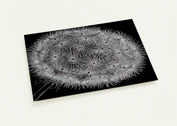 BLOWBALL II By MC Escher Pack of 10 Post Cards | MC Escher Post Cards | A6 (10.5 x 14.8 cm) - 4.1 x 5.8 inches