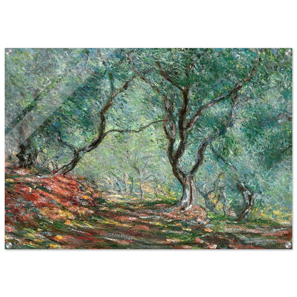 Olive Tree Wood in the Moreno Garden - claude monet Acrylic Print - 70x100 cm / 28x40″ inches | claude monet Wall Art | claude monet Prints