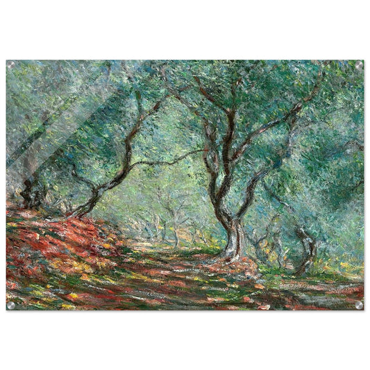 Olive Tree Wood in the Moreno Garden - claude monet Acrylic Print - 70x100 cm / 28x40″ inches | claude monet Wall Art | claude monet Prints