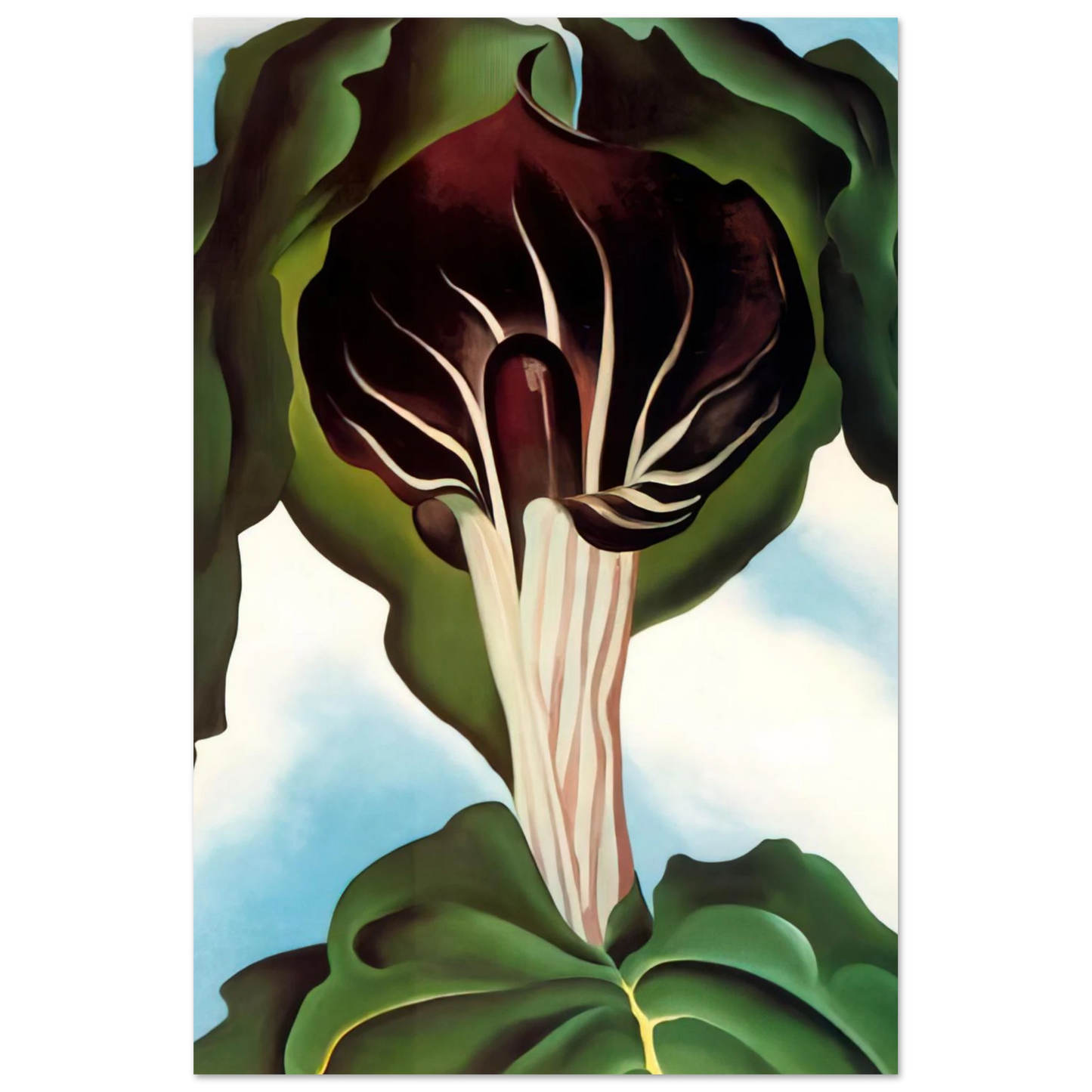 Georgia O'Keeffe - Jack-in-the-Pulpit III Fine Art Poster - 40x60 cm / 16x24 inches