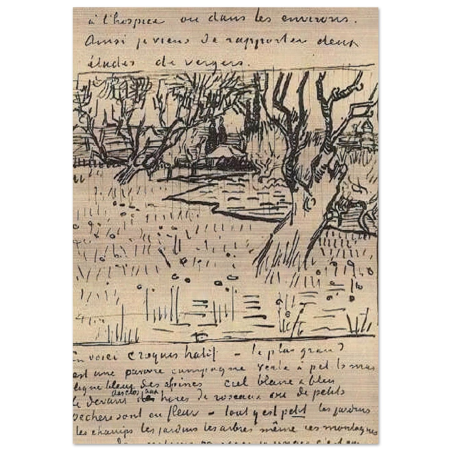 Orchard in Bloom with View of Arles - Vincent van Gogh Brushed Aluminum Print - 70x100 cm / 28x40 inches | Vincent van Gogh Aluminum Print | Vincent van Gogh Prints