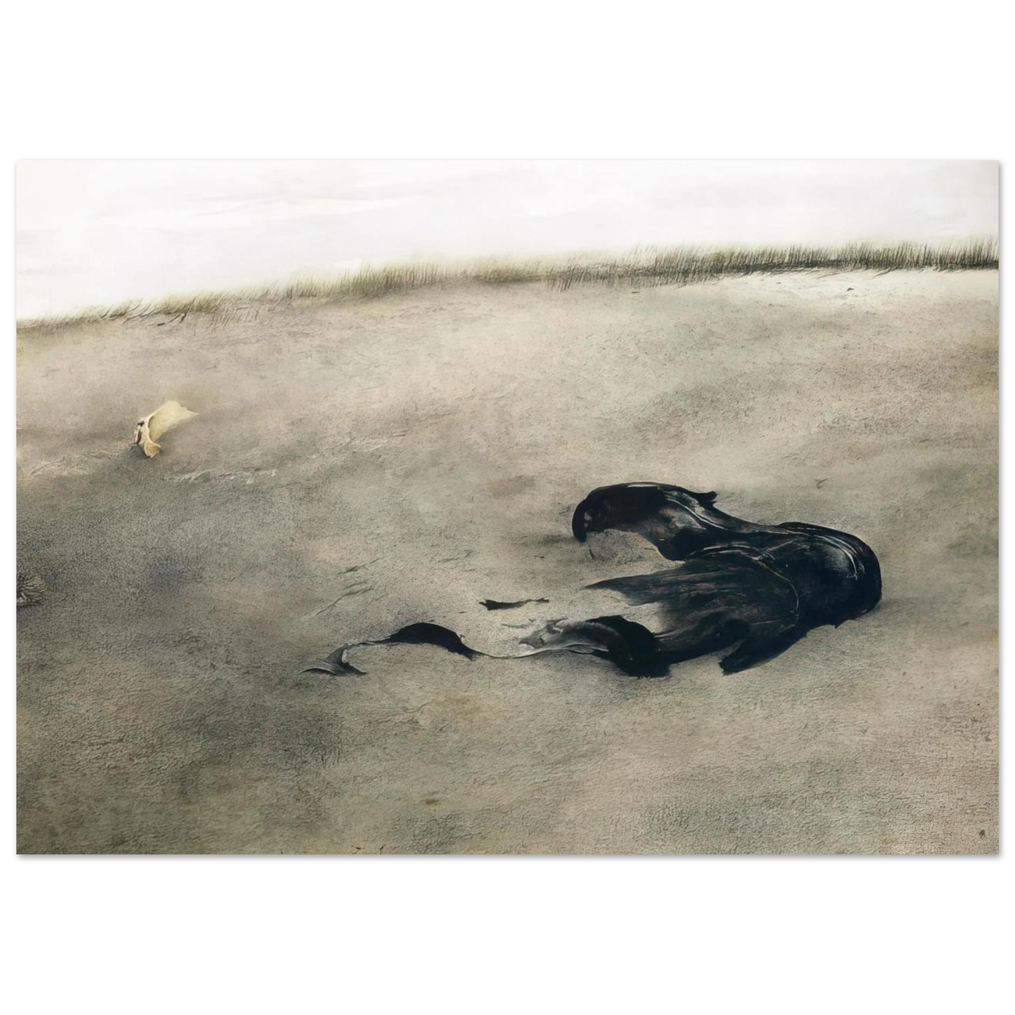 Andrew Wyeth - NOT DETECTED 37 Wall Art - 30x40 cm / 12x16 inches - Premium Wooden Framed Poster With Fine Art Paper - White frame