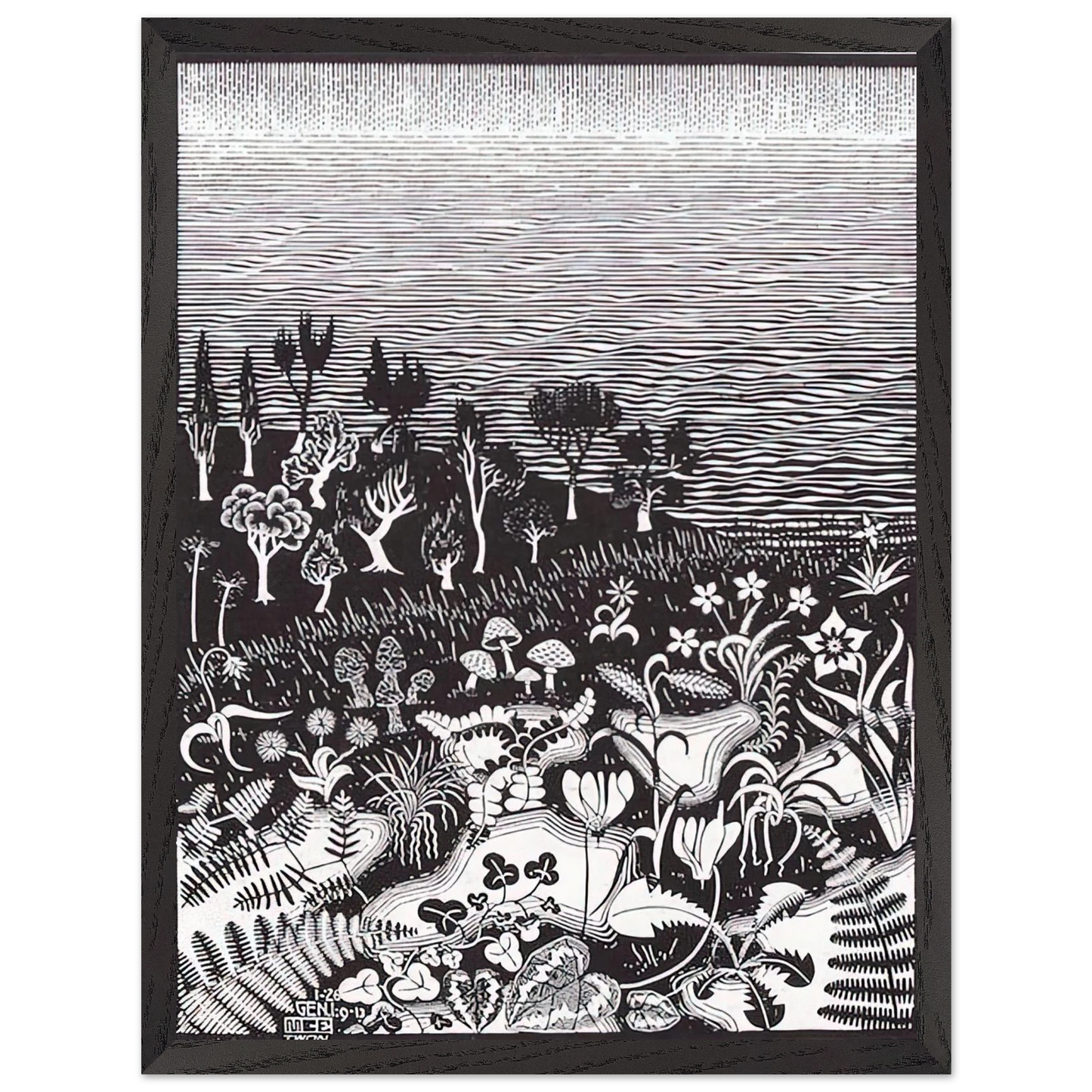 MC Escher - THE 3RD DAY OF THE CREATION Wall Art - 30x40 cm / 12x16 inches - Premium Wooden Framed Poster With Fine Art Paper - Black frame