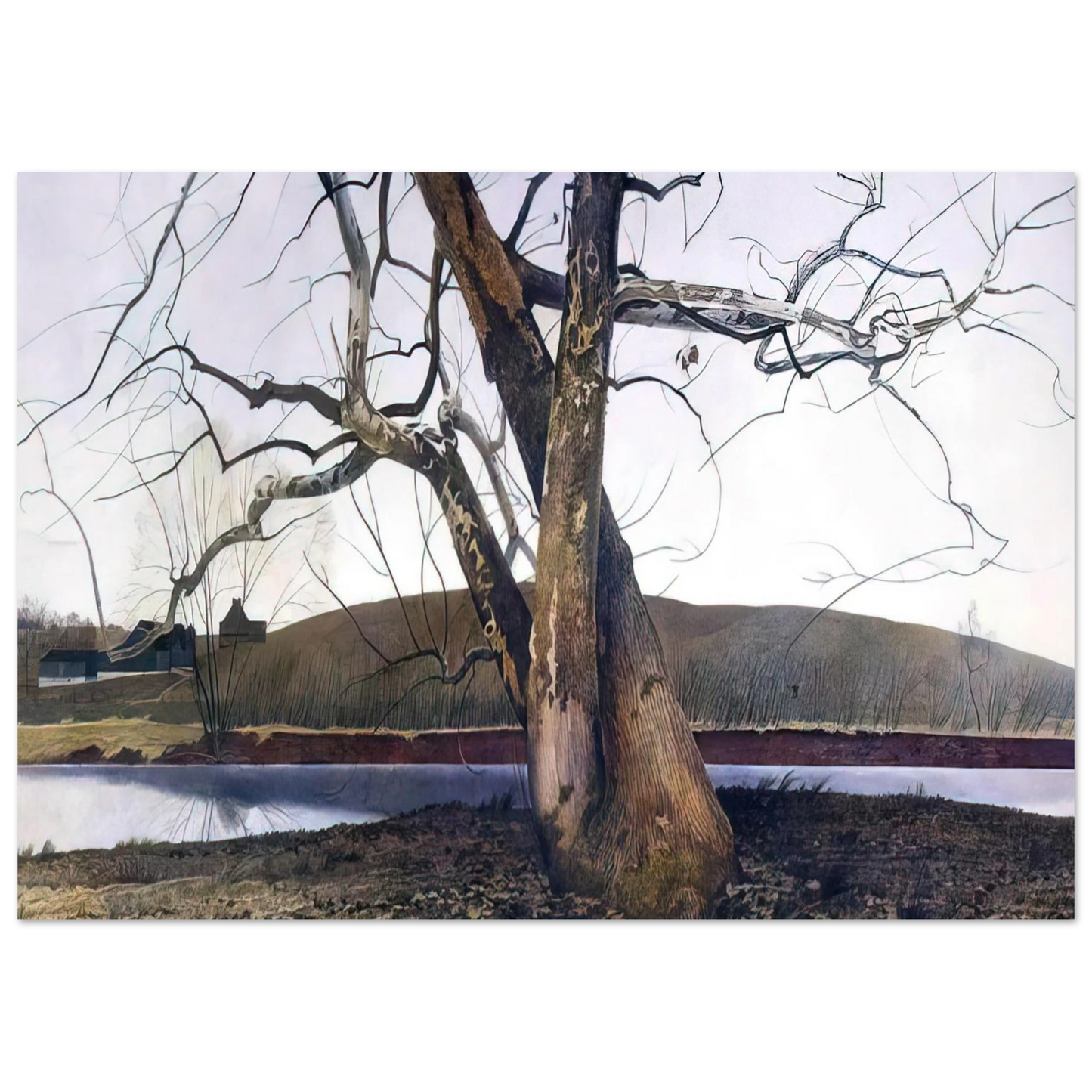 Andrew Wyeth - DIL HUEY FARM Wall Art - 60x80 cm / 24x32 inches - Fine Art Poster - -