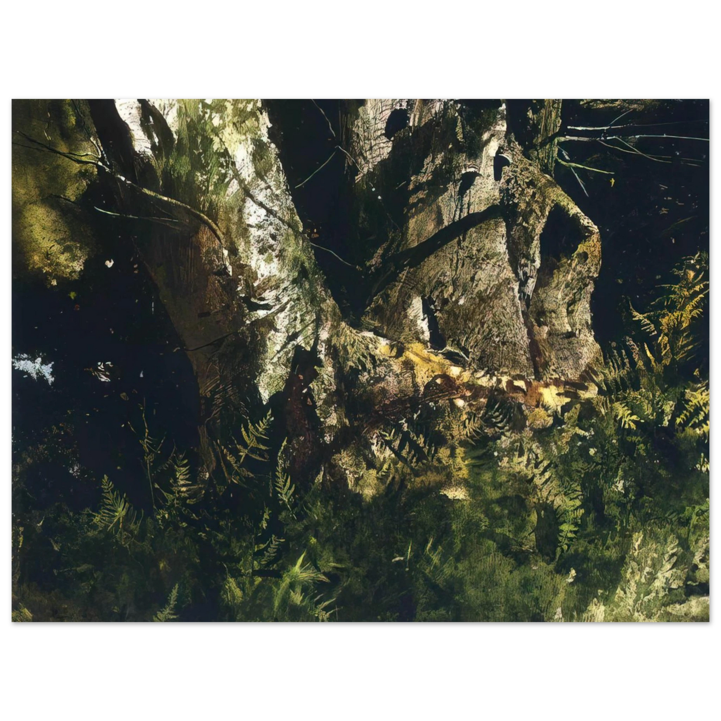 Andrew Wyeth - VIRGIN BIRCH 1982 Wall Art - 30x40 cm / 12x16 inches - Premium Wooden Framed Poster With Fine Art Paper - Black frame