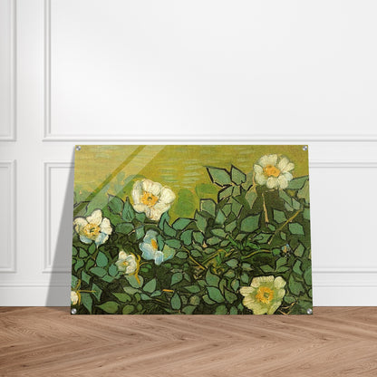 Wild Roses - Vincent van Gogh Acrylic Print - 70x100 cm / 28x40″ inches