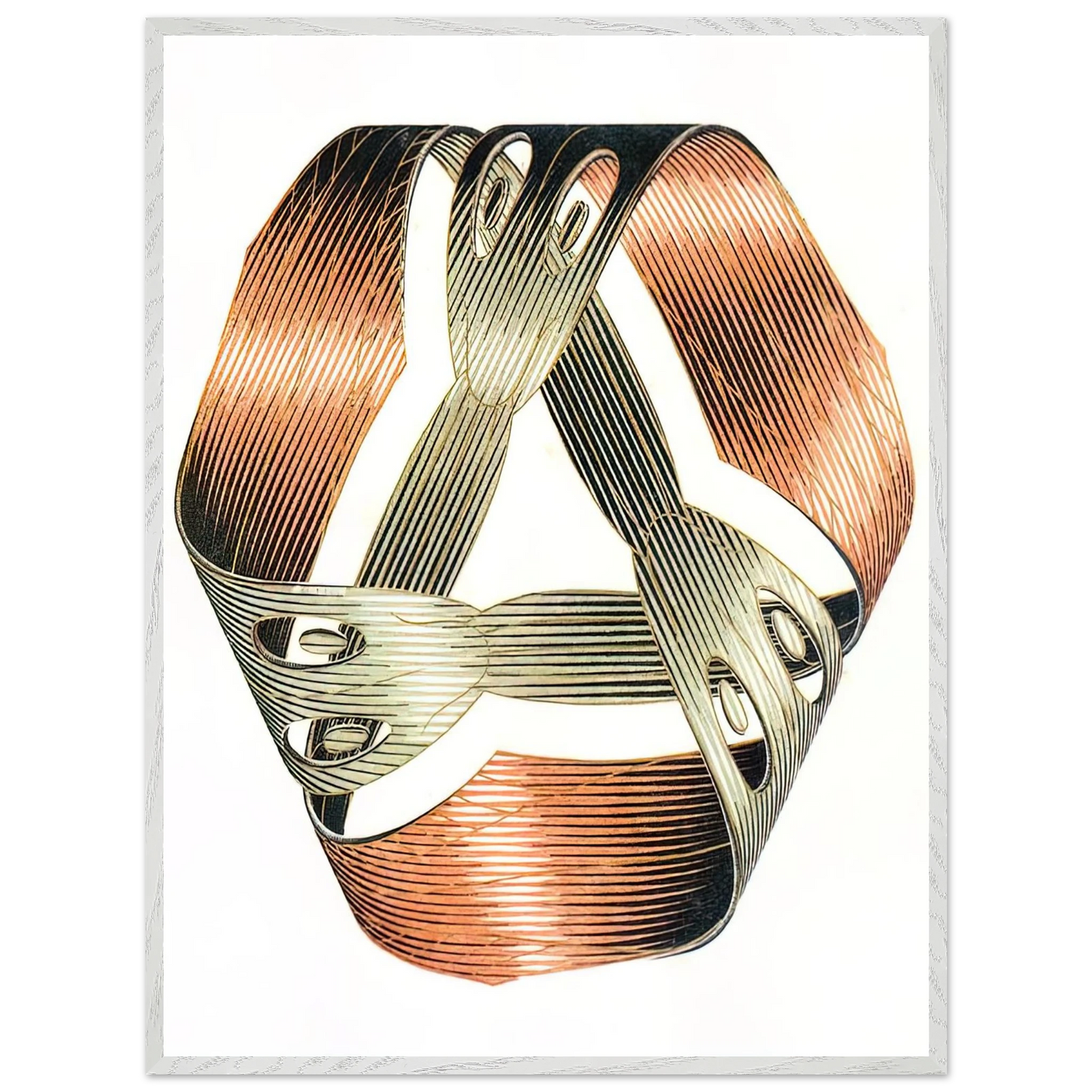 MC Escher - MOEBIUS STRIP I Wall Art - 30x40 cm / 12x16 inches - Fine Art Poster - -