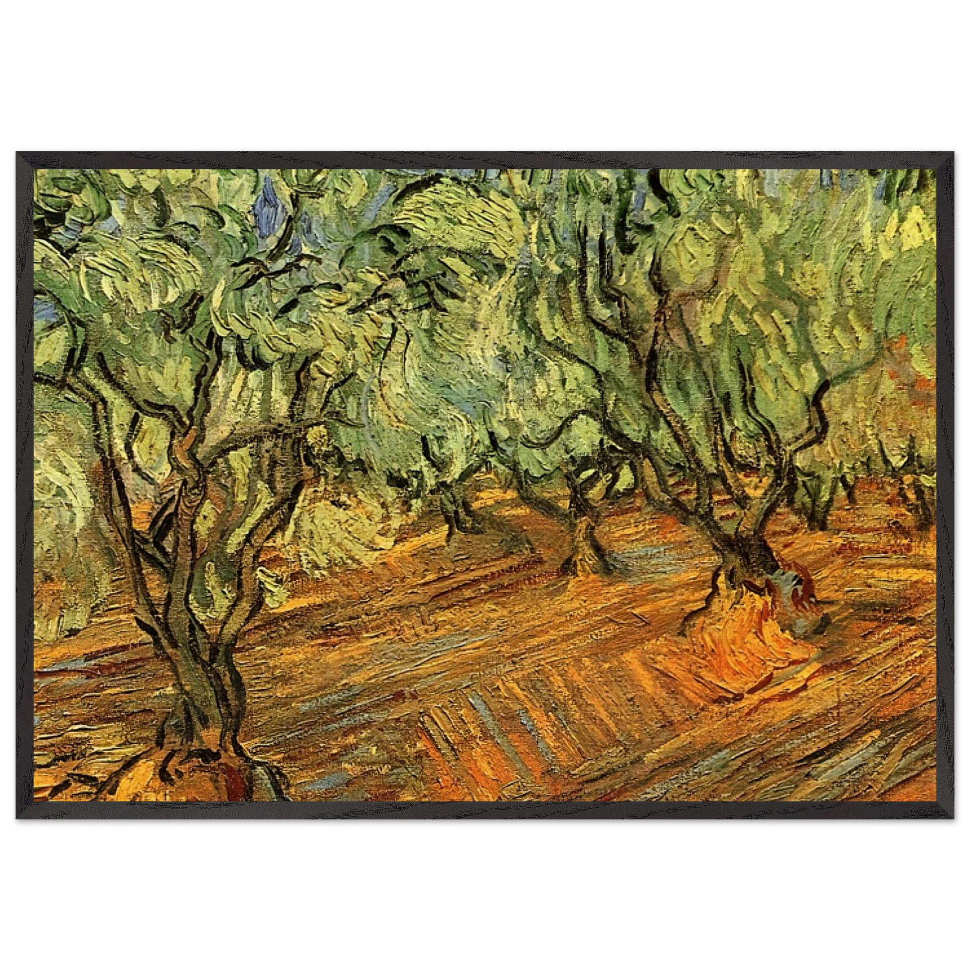 Olive Grove - Bright Blue Sky - Vincent van Gogh Framed Art Print – Black Wooden Frame - Default Title - -Framed Art Print