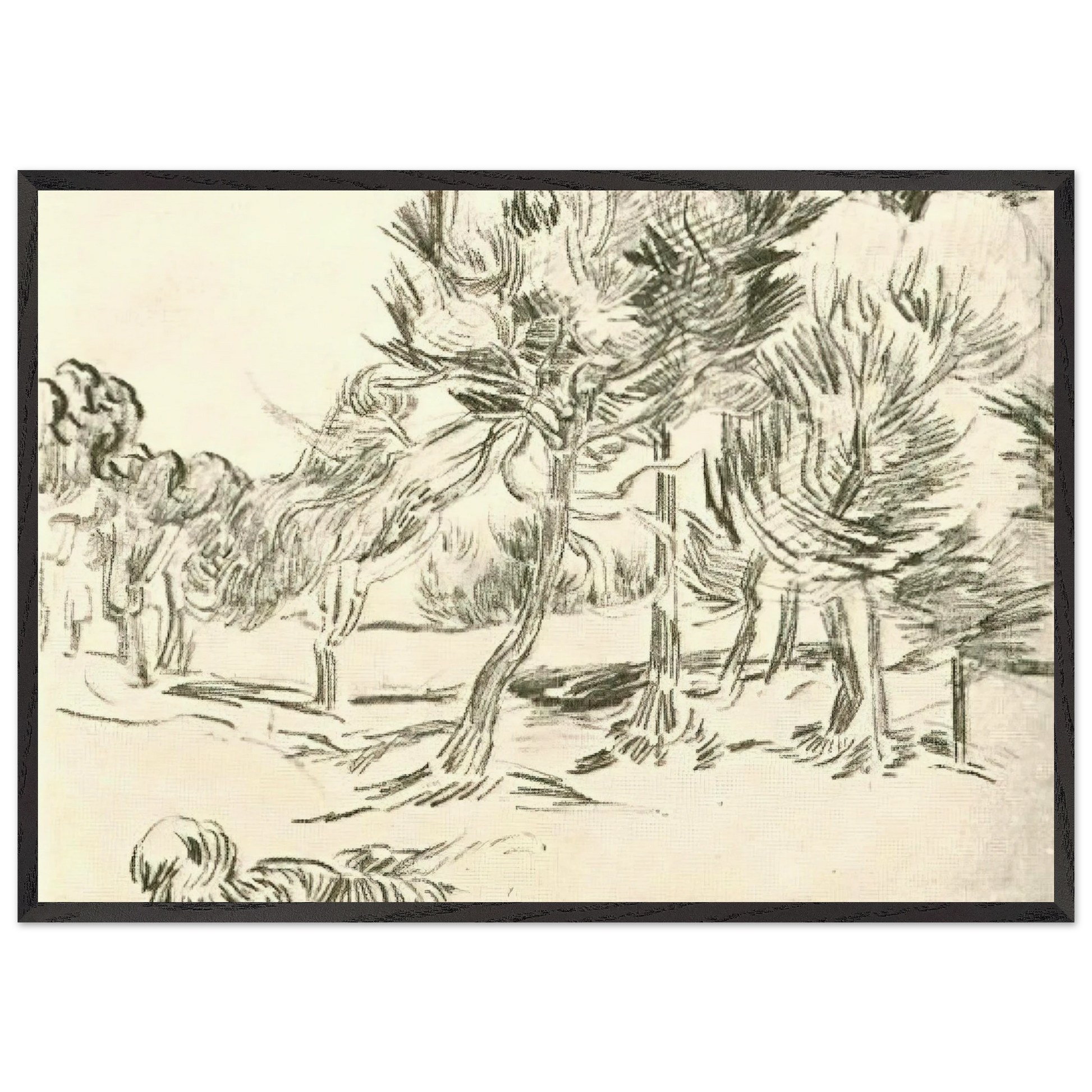 A Group of Pine Trees - Vincent van Gogh Framed Art Print – Black Wooden Frame - Default Title - -Framed Art Print