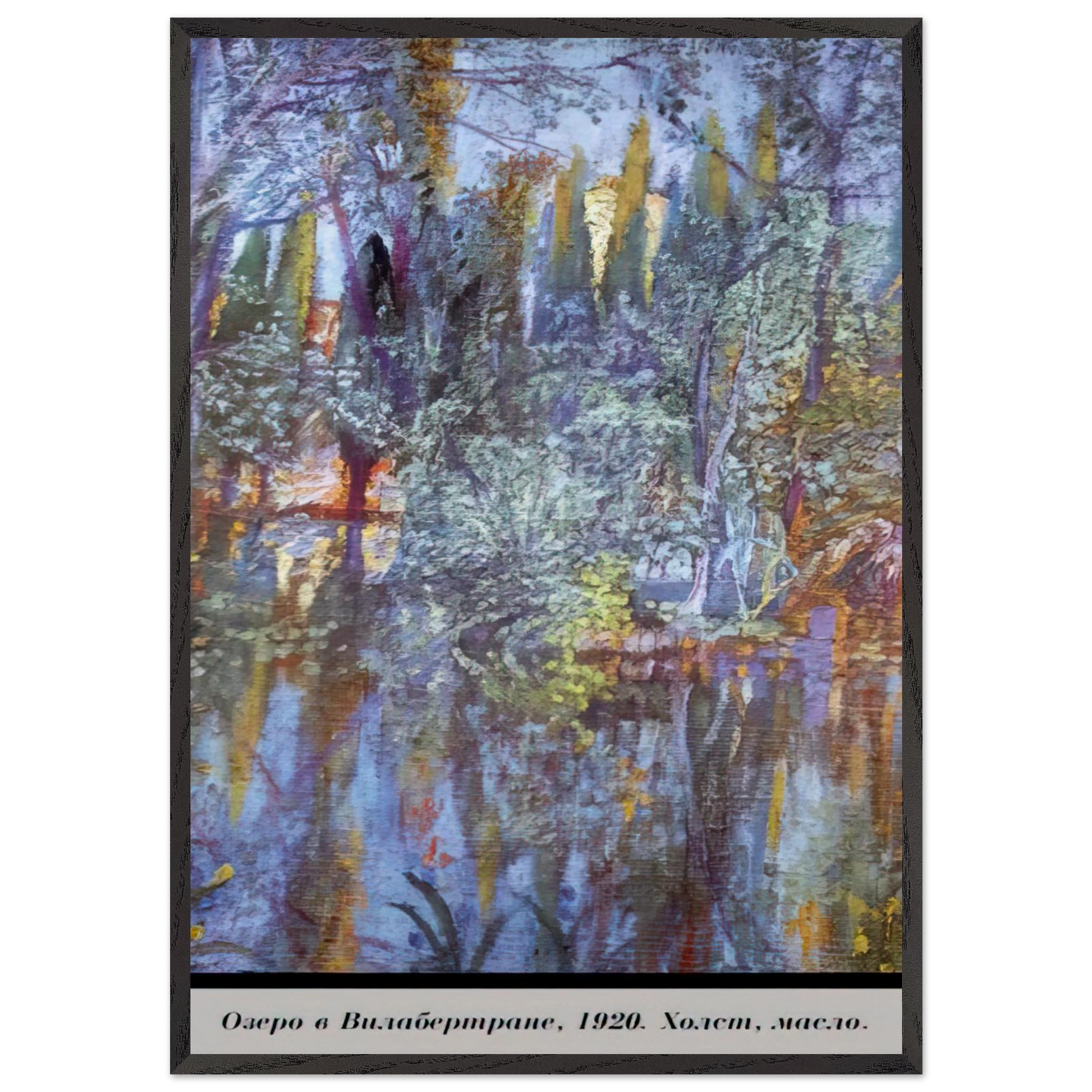 THE LAKE AT VILABERTRAN - Salvador Dali Framed Art Print – Black Wooden Frame - Default Title - -Framed Art Print