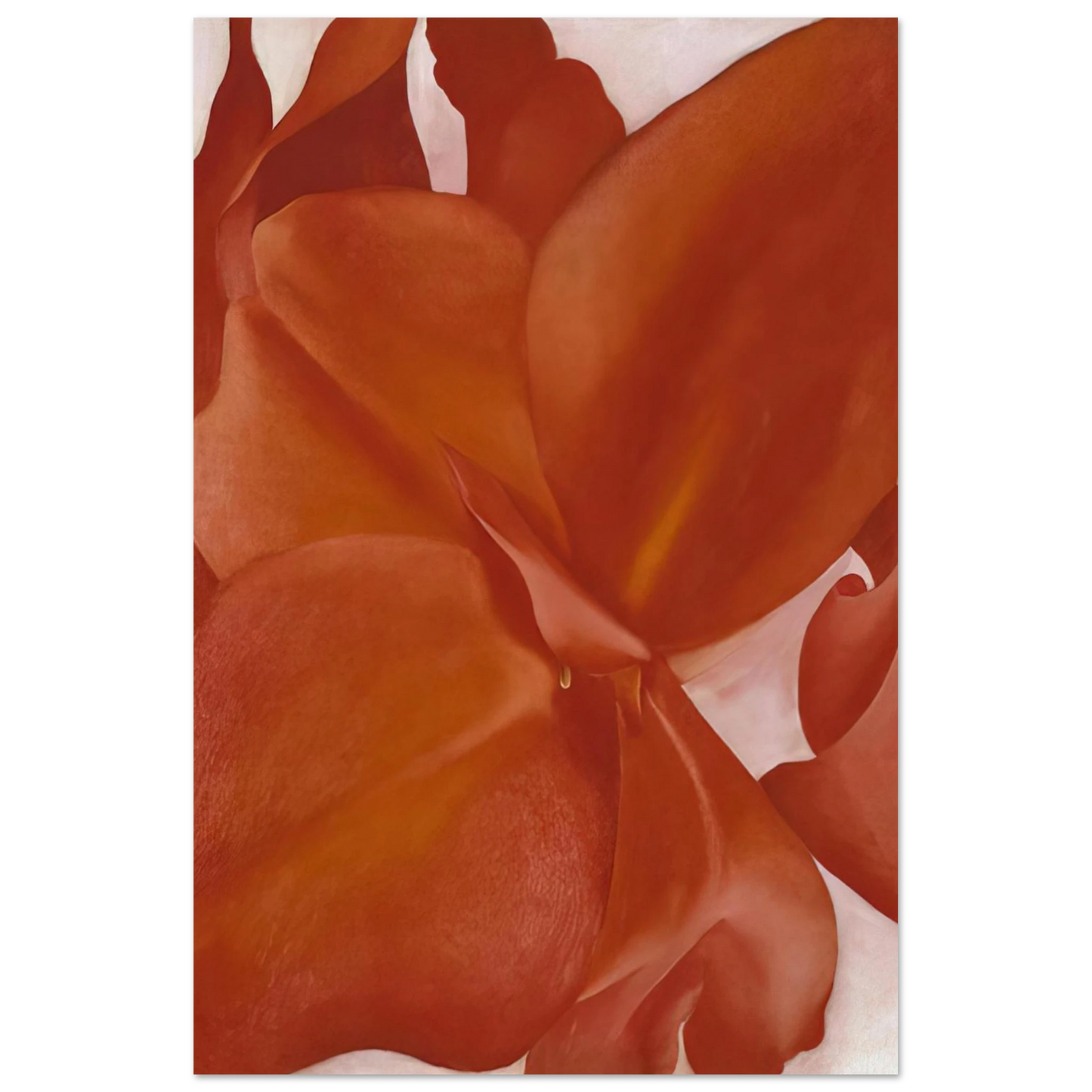 Georgia O'Keeffe - Red Cannas Fine Art Poster - 75x100 cm / 30x40 inches