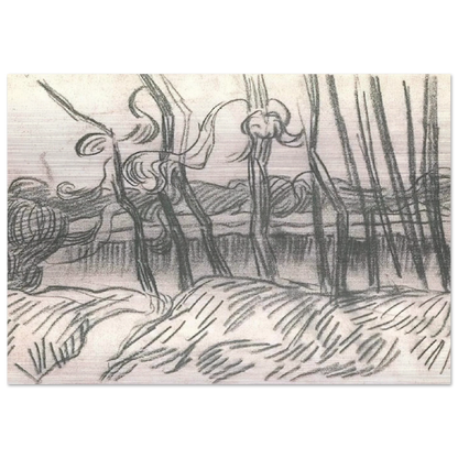 A Row of Bare Trees - Vincent van Gogh Brushed Aluminum Print - 70x100 cm / 28x40 inches | Vincent van Gogh Aluminum Print | Vincent van Gogh Prints