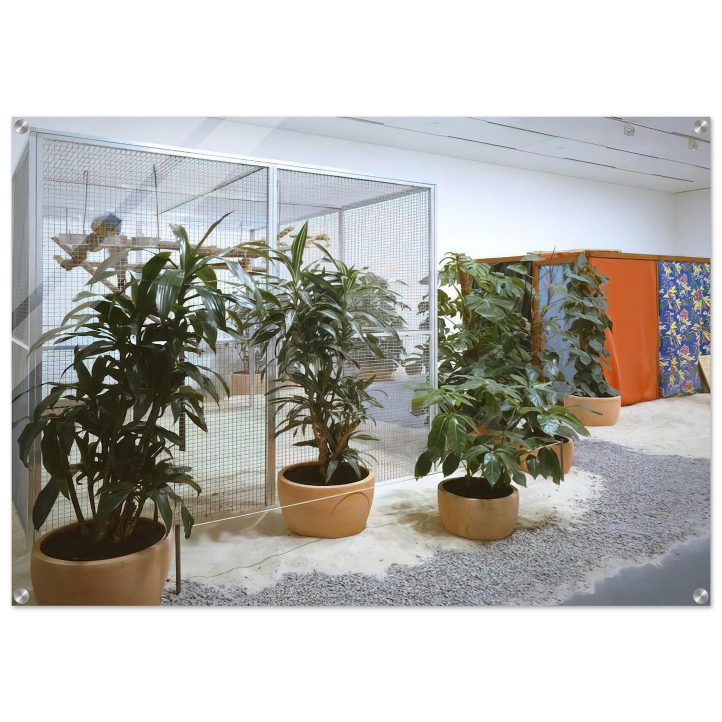 e446d08b-b8d8-45fd-b6a9-8d97cd9b4735