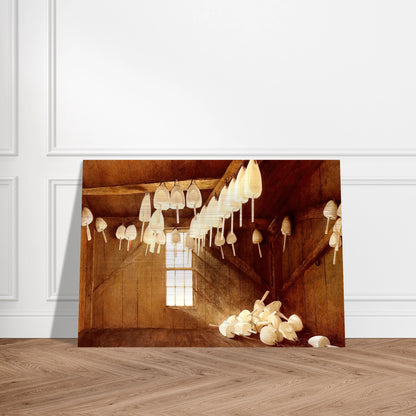 e4e7c6fa-9b26-4b3e-992e-ad2e0424a832